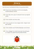 Voorbeeld - Van ei tot lieveheersbeestje: levenscyclus | Werkboek groep 3–4 | Met antwoorden - Pagina 3