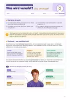 Vorschau - Stundenentwürfe - Genetik- Einstieg: Was wird vererbt? Merkmale, Gene & Zwillinge | Unterrichtsreihe "Genetik", Biologie 9./10. Klasse – inkl. interaktiver Webseite - Seite 2