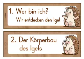 Vorschau - Unterrichtsreihen - Der Igel im Sachunterricht Klasse 1 - Druchschrift und Grundschrift - Herbst - Seite 2
