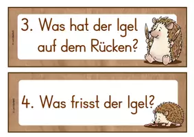 Vorschau - Unterrichtsreihen - Der Igel im Sachunterricht Klasse 1 - Druchschrift und Grundschrift - Herbst - Seite 3