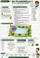 Vorschau - Unterrichtsreihen - 🌱🐾 Pflanzenzelle & Tierzelle 🔬 | Aufbau, Vergleich & Mikroskopieren | Arbeitsblätter + Lösungblätter + Einstieg+ Ausstieg | Biologie (Bio) Klasse 7–8 - Deckblatt