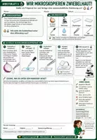 Vorschau - Unterrichtsreihen - 🌱🐾 Pflanzenzelle & Tierzelle 🔬 | Aufbau, Vergleich & Mikroskopieren | Arbeitsblätter + Lösungblätter + Einstieg+ Ausstieg | Biologie (Bio) Klasse 7–8 - Seite 3