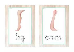 Vista previa - Juegos / Gamificación - HUMAN BODY pack 20 recursos (letra ligada) - página 3