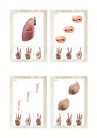 Vista previa - Juegos / Gamificación - HUMAN BODY pack 20 recursos (letra de imprenta) - página 1