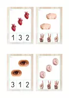 Vista previa - Juegos / Gamificación - HUMAN BODY pack 20 recursos (letra de imprenta) - página 3