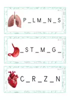 Vista previa - Tarjetas / Manipulativos - Grafía de vocales MAYÚSCULA (cuerpo humano) - Portada
