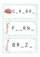 Vista previa - Tarjetas / Manipulativos - Grafía de vocales MAYÚSCULA (cuerpo humano) - página 1