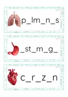 Vista previa - Tarjetas / Manipulativos - Grafía de vocales minúscula de imprenta (cuerpo humano) - Portada