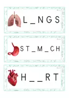 Vista previa - Tarjetas / Manipulativos - INGLÉS - Grafía de vocales MAYÚSCULA (cuerpo humano) - Portada