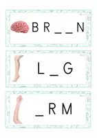 Vista previa - Tarjetas / Manipulativos - INGLÉS - Grafía de vocales MAYÚSCULA (cuerpo humano) - página 1