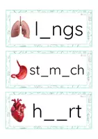 Vista previa - Tarjetas / Manipulativos - INGLÉS - Grafía de vocales minúscula de imprenta (cuerpo humano) - Portada