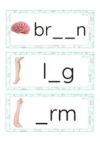 Vista previa - Tarjetas / Manipulativos - INGLÉS - Grafía de vocales minúscula de imprenta (cuerpo humano) - página 1