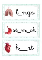 Vista previa - Tarjetas / Manipulativos - INGLÉS - Grafía de vocales minúscula ligada (cuerpo humano) - Portada
