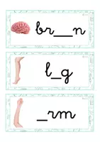 Vista previa - Tarjetas / Manipulativos - INGLÉS - Grafía de vocales minúscula ligada (cuerpo humano) - página 1