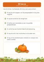 Voorbeeld - Van zaadje tot pompoen: levenscyclus | Werkboek groep 3–4 | Met antwoorden - Pagina 3