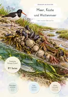 Vorschau - Unterrichtsreihen - Meer, Küste und Wattenmeer – Ebbe, Flut, Meerestiere, Salzwiesen & Küstenschutz | Biologie Kompletteinheit | 81 Seiten mit Lösungen - Deckblatt