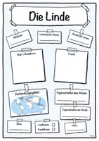 Vorschau - Stundenentwürfe - Steckbrief Linde (Baum/Bäume) - Seite 1