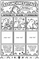 Vista previa - Unidades / Secuencias / Situaciones de Aprendizaje - PACK CONO SERES VIVOS Y PARTES DE LA PLANTA - página 3