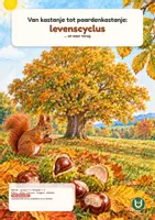 Voorbeeld - Van kastanje tot paardenkastanje: levenscyclus | Werkboek groep 3–4 | Met antwoorden - Voorblad