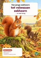 Voorbeeld - Van jonge eekhoorn tot volwassen eekhoorn | Werkboek groep 3–4 | Met antwoorden - Voorblad