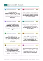 Vorschau - Poster - Kohlenstoffkreislauf Poster Chemie 9-10 - Seite 3