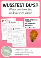 Vorschau - Arbeitsblätter - Leseverstehen 3-fach differenziert: Blätter im Wald - Deckblatt