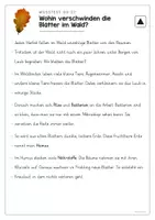 Vorschau - Arbeitsblätter - Leseverstehen 3-fach differenziert: Blätter im Wald - Seite 2
