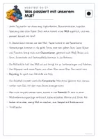 Vorschau - Arbeitsblätter - Sachtext Müll - Leseverstehen 3-fach differenziert - Seite 3