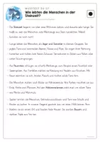 Vorschau - Arbeitsblätter - Sachtext Steinzeit - Leseverstehen 3-fach differenziert - Seite 3