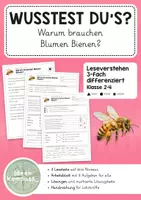 Vorschau - Arbeitsblätter - Sachtext Blumen und Bienen - Leseverstehen 3-fach differenziert - Deckblatt
