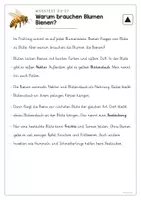 Vorschau - Arbeitsblätter - Sachtext Blumen und Bienen - Leseverstehen 3-fach differenziert - Seite 2