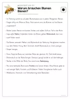 Vorschau - Arbeitsblätter - Sachtext Blumen und Bienen - Leseverstehen 3-fach differenziert - Seite 3