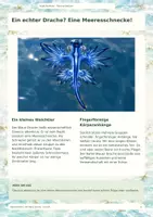 Vorschau - Anderer Materialtyp - Lernheft Der Blaue Drache – Tiere entdecken – Sachunterricht Grundschule - Seite 3