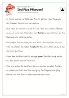 Vorschau - Spiele - Sachtext Pilze - Leseverstehen 3-fach differenziert - Seite 2