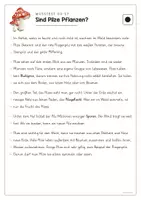 Vorschau - Spiele - Sachtext Pilze - Leseverstehen 3-fach differenziert - Seite 3