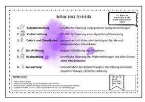 Vorschau - Arbeitsblätter - Aufbau eines Protokolls - Eine anschauliche Darstellung - Seite 1