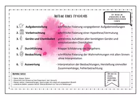 Vorschau - Arbeitsblätter - Aufbau eines Protokolls - Eine anschauliche Darstellung - Seite 3