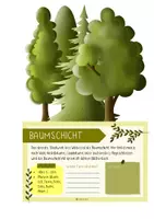 Vorschau - Merkblätter - WALD // Stockwerke des Waldes - Pop-up-Heftchen - Seite 1