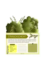 Vorschau - Merkblätter - WALD // Stockwerke des Waldes - Pop-up-Heftchen - Seite 2