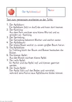 Vorschau - Stundenentwürfe - Die entstehung des Apfels, Das Apfeljahr, Vom Kern bis zum Apfel - Seite 2
