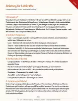Vorschau - Mal- und Bastelvorlagen - Löten – meine erste Schaltung – Lesespurgeschichte mit Rätselaufgaben (Klasse 8) - Seite 2