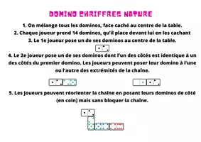 Aperçu - Apprentissages en autonomie - Domino : Nature d'un document historique - Page 2