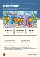 Vorschau - Arbeitsblätter - Biomembran Klausur Flüssig-Mosaik-Modell Biologie Oberstufe Klasse 10 11 | Klausurtraining 17 Seiten mit Erwartungshorizont | Gorter und Grendel, Frye und Edidin, Membranmodelle beurteilen | Klausurtraining Zellbiologie 2 - Seite 1