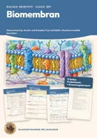 Vorschau - Arbeitsblätter - Biomembran Klausur Flüssig-Mosaik-Modell Biologie Oberstufe Klasse 10 11 | Klausurtraining 17 Seiten mit Erwartungshorizont | Gorter und Grendel, Frye und Edidin, Membranmodelle beurteilen | Klausurtraining Zellbiologie 2 - Deckblatt