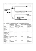 Vorschau - Klassenarbeiten - Evolution von Heuschrecken – Biologie-Klausur Q2 | GK & LK mit Erwartungshorizont - Seite 3