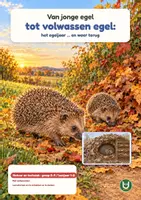 Voorbeeld - Van jonge egel tot volwassen egel: het egeljaar | Werkboek groep 3–4 | Met antwoorden - Voorblad