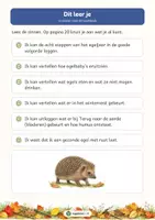 Voorbeeld - Van jonge egel tot volwassen egel: het egeljaar | Werkboek groep 3–4 | Met antwoorden - Pagina 3