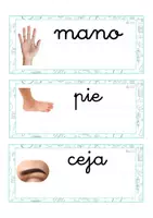 Vista previa - Tarjetas / Manipulativos - Lecto-escritura minúscula ligada (cuerpo humano) - página 2