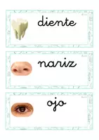 Vista previa - Tarjetas / Manipulativos - Lecto-escritura minúscula ligada (cuerpo humano) - página 3