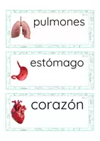 Vista previa - Tarjetas / Manipulativos - Lecto-escritura minúscula de imprenta (cuerpo humano) - Portada